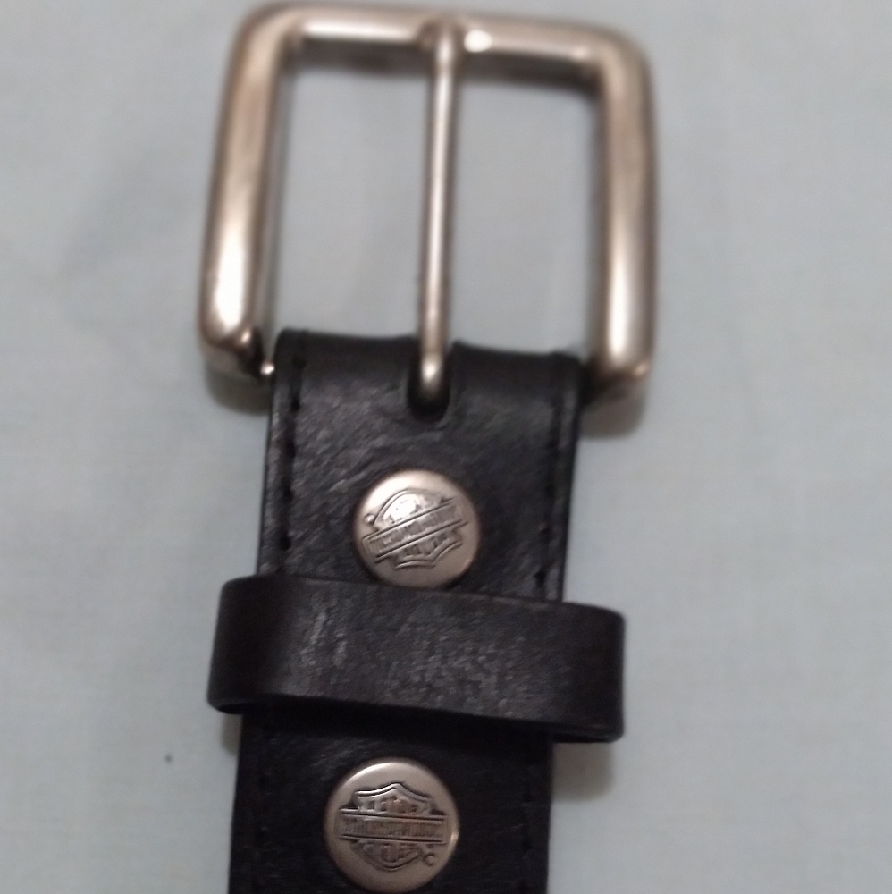 Harley Davidson Money Belt